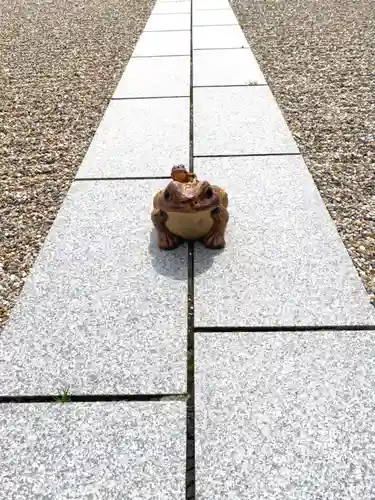 金剛寺(大阪府)