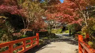 神藏寺(京都府)