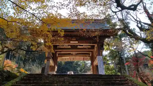 養父神社(兵庫県)