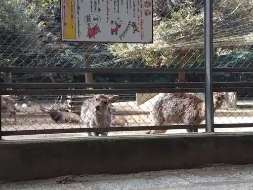 鹿島神宮(茨城県)