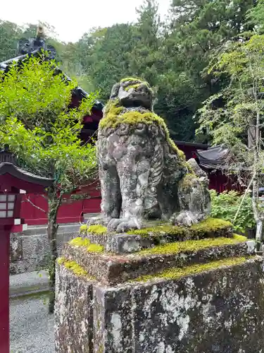 箱根神社の狛犬