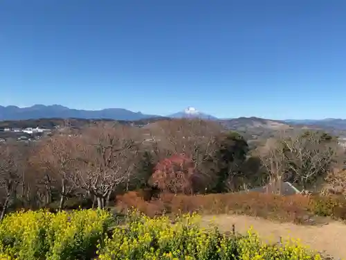 吾妻神社の景色