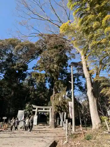 賀茂神社の{uncategorized: "未分類", other: "その他", undefined: "問題あり", building: "その他建物", grave: "お墓", sacred_gate: "鳥居", guardian: "狛犬", statue: "像", buddha: "仏像", history: "歴史", nature: "自然", garden: "庭園", animal: "動物", pagoda: "塔", temizu: "手水舎", mountain_gate: "山門・神門", sanctuary: "本殿・本堂", subordinate: "末社・摂社", art: "芸術", scenery: "景色", jizo: "地蔵", ema: "絵馬", goshuin: "御朱印", omikuji: "おみくじ", items: "授与品その他", amulet: "お守り", goshuincho: "御朱印帳", eats: "食事", festival: "お祭り", votive_dance: "神楽", shichigosan: "七五三参", wedding: "結婚式", experience: "体験その他", initially: "初詣", around: "周辺", anti_infection: "感染症対策"}
