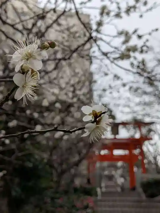銀世界稲荷神社(東京都)