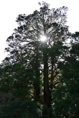 河内神社(高知県)