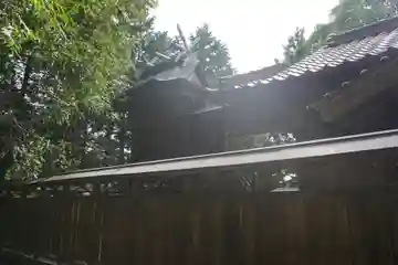 新具蘇姫命神社の本殿・本堂