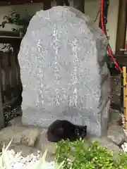 露天神社（お初天神）の動物