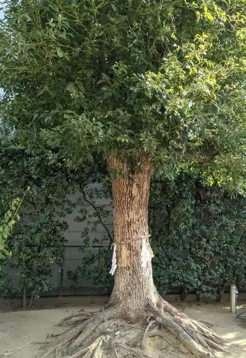玉造稲荷神社分社の自然