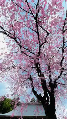 浄居寺(山梨県)