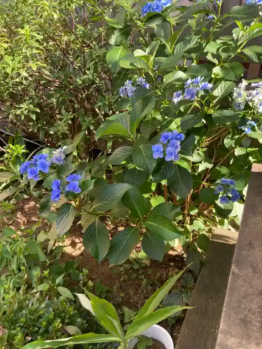 経王寺(東京都)