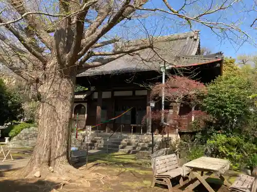 薬王寺(神奈川県)