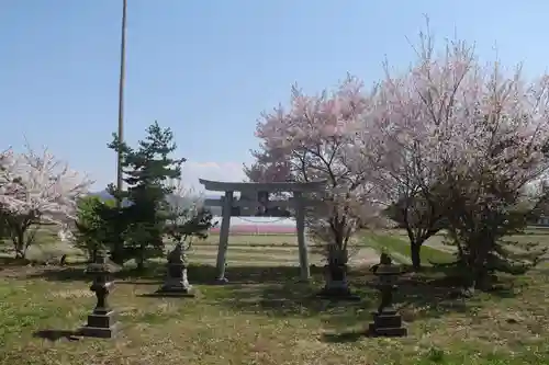 羽黒山神社（西の宮　羽黒山神社）の鳥居