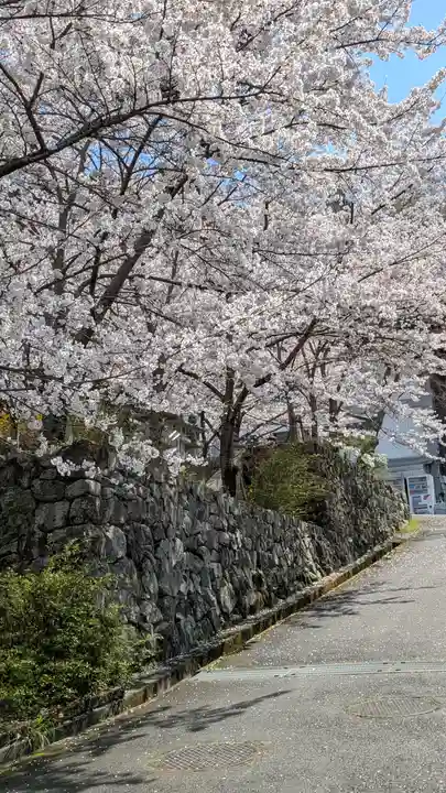 南法華寺(壷阪寺)(奈良県)