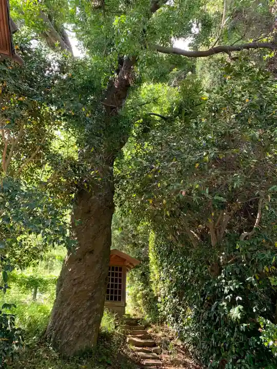 西福寺(千葉県)