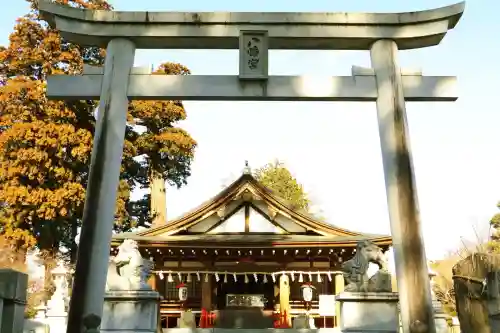 八幡宮の{uncategorized: "未分類", other: "その他", undefined: "問題あり", building: "その他建物", grave: "お墓", sacred_gate: "鳥居", guardian: "狛犬", statue: "像", buddha: "仏像", history: "歴史", nature: "自然", garden: "庭園", animal: "動物", pagoda: "塔", temizu: "手水舎", mountain_gate: "山門・神門", sanctuary: "本殿・本堂", subordinate: "末社・摂社", art: "芸術", scenery: "景色", jizo: "地蔵", ema: "絵馬", goshuin: "御朱印", omikuji: "おみくじ", items: "授与品その他", amulet: "お守り", goshuincho: "御朱印帳", eats: "食事", festival: "お祭り", votive_dance: "神楽", shichigosan: "七五三参", wedding: "結婚式", experience: "体験その他", initially: "初詣", around: "周辺", anti_infection: "感染症対策"}