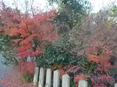 柳谷観音　楊谷寺(京都府)