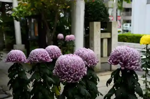 笠間稲荷神社 東京別社の自然