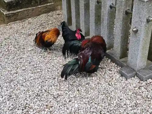 石上神宮の{uncategorized: "未分類", other: "その他", undefined: "問題あり", building: "その他建物", grave: "お墓", sacred_gate: "鳥居", guardian: "狛犬", statue: "像", buddha: "仏像", history: "歴史", nature: "自然", garden: "庭園", animal: "動物", pagoda: "塔", temizu: "手水舎", mountain_gate: "山門・神門", sanctuary: "本殿・本堂", subordinate: "末社・摂社", art: "芸術", scenery: "景色", jizo: "地蔵", ema: "絵馬", goshuin: "御朱印", omikuji: "おみくじ", items: "授与品その他", amulet: "お守り", goshuincho: "御朱印帳", eats: "食事", festival: "お祭り", votive_dance: "神楽", shichigosan: "七五三参", wedding: "結婚式", experience: "体験その他", initially: "初詣", around: "周辺", anti_infection: "感染症対策"}