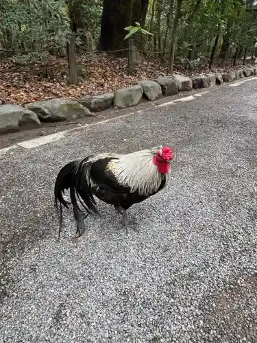 熱田神宮の{uncategorized: "未分類", other: "その他", undefined: "問題あり", building: "その他建物", grave: "お墓", sacred_gate: "鳥居", guardian: "狛犬", statue: "像", buddha: "仏像", history: "歴史", nature: "自然", garden: "庭園", animal: "動物", pagoda: "塔", temizu: "手水舎", mountain_gate: "山門・神門", sanctuary: "本殿・本堂", subordinate: "末社・摂社", art: "芸術", scenery: "景色", jizo: "地蔵", ema: "絵馬", goshuin: "御朱印", omikuji: "おみくじ", items: "授与品その他", amulet: "お守り", goshuincho: "御朱印帳", eats: "食事", festival: "お祭り", votive_dance: "神楽", shichigosan: "七五三参", wedding: "結婚式", experience: "体験その他", initially: "初詣", around: "周辺", anti_infection: "感染症対策"}