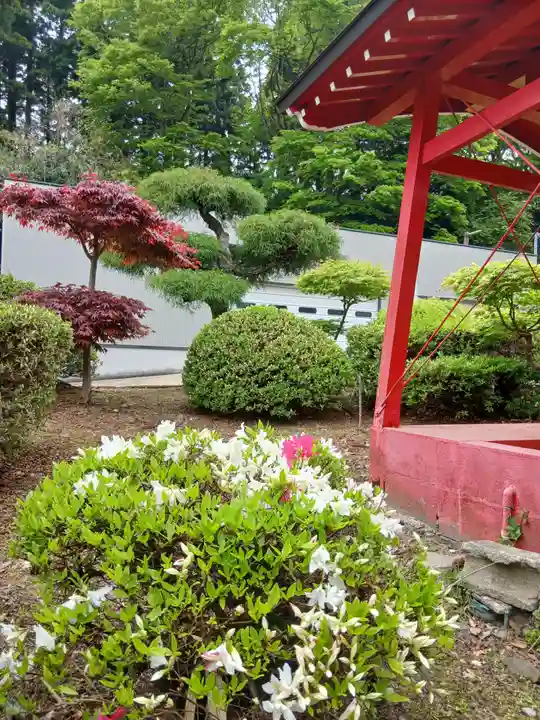 白狐山光星寺(山形県)