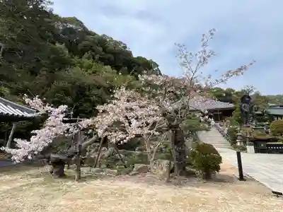 清荒神清澄寺(兵庫県)