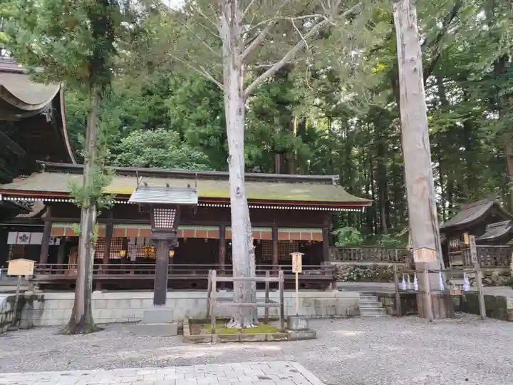 諏訪大社下社秋宮の本殿・本堂