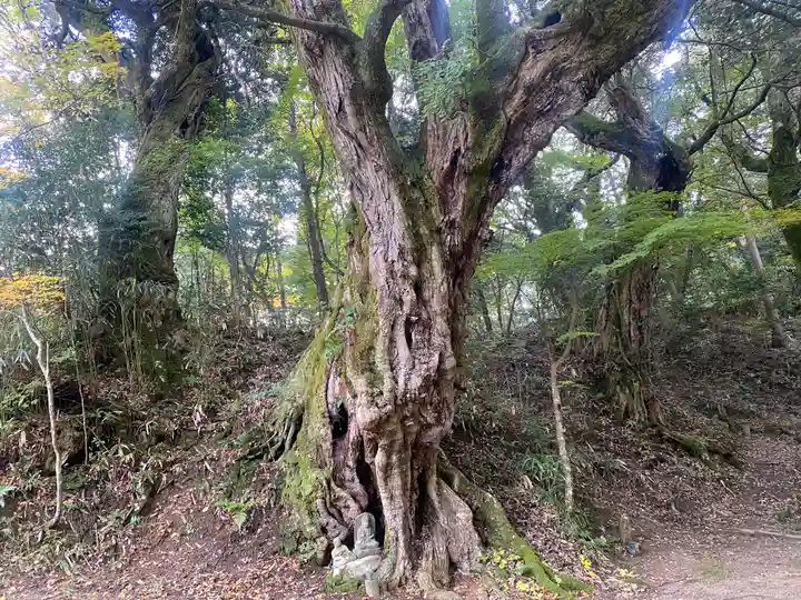 縁城寺(京都府)