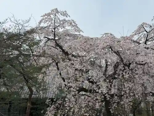 中院の{uncategorized: "未分類", other: "その他", undefined: "問題あり", building: "その他建物", grave: "お墓", sacred_gate: "鳥居", guardian: "狛犬", statue: "像", buddha: "仏像", history: "歴史", nature: "自然", garden: "庭園", animal: "動物", pagoda: "塔", temizu: "手水舎", mountain_gate: "山門・神門", sanctuary: "本殿・本堂", subordinate: "末社・摂社", art: "芸術", scenery: "景色", jizo: "地蔵", ema: "絵馬", goshuin: "御朱印", omikuji: "おみくじ", items: "授与品その他", amulet: "お守り", goshuincho: "御朱印帳", eats: "食事", festival: "お祭り", votive_dance: "神楽", shichigosan: "七五三参", wedding: "結婚式", experience: "体験その他", initially: "初詣", around: "周辺", anti_infection: "感染症対策"}