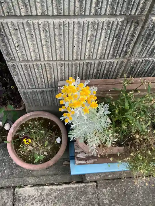 日輪寺(愛知県)