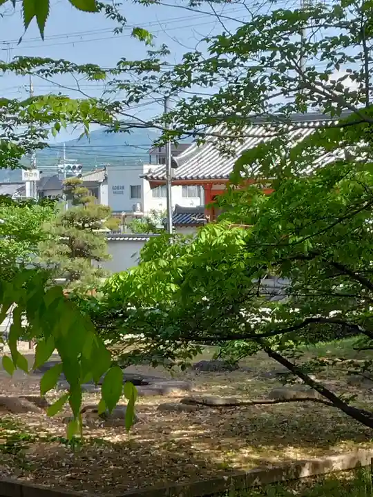 野々上八幡神社の自然