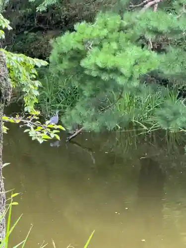 眞田神社(長野県)
