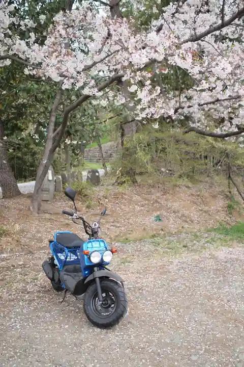 岩殿山安楽寺(吉見観音)(埼玉県)