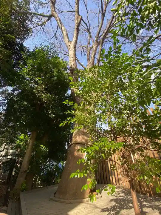鎮守氷川神社(埼玉県)