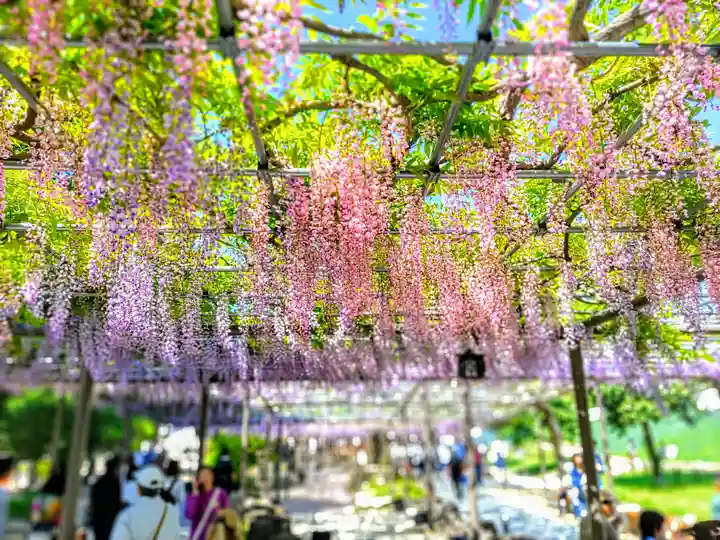 津島神社の周辺