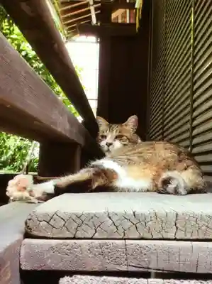 荻窪白山神社(東京都)