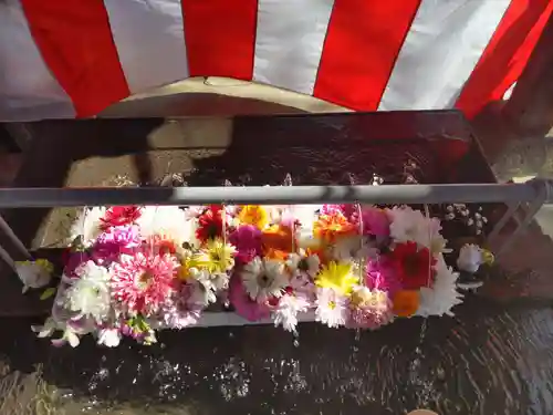 舎人氷川神社の手水