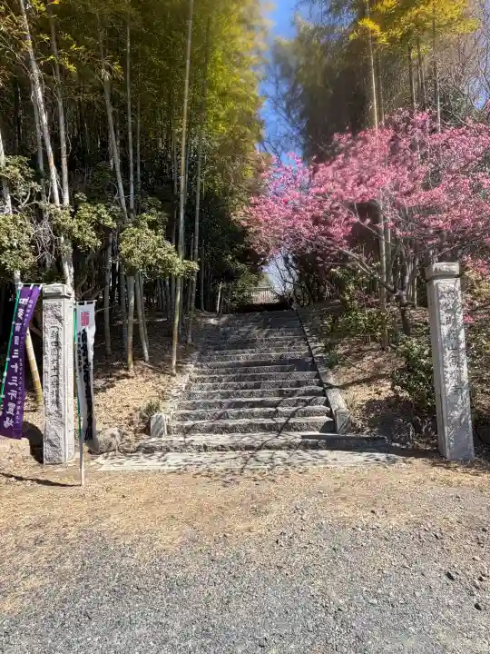 高讃寺の{uncategorized: "未分類", other: "その他", undefined: "問題あり", building: "その他建物", grave: "お墓", sacred_gate: "鳥居", guardian: "狛犬", statue: "像", buddha: "仏像", history: "歴史", nature: "自然", garden: "庭園", animal: "動物", pagoda: "塔", temizu: "手水舎", mountain_gate: "山門・神門", sanctuary: "本殿・本堂", subordinate: "末社・摂社", art: "芸術", scenery: "景色", jizo: "地蔵", ema: "絵馬", goshuin: "御朱印", omikuji: "おみくじ", items: "授与品その他", amulet: "お守り", goshuincho: "御朱印帳", eats: "食事", festival: "お祭り", votive_dance: "神楽", shichigosan: "七五三参", wedding: "結婚式", experience: "体験その他", initially: "初詣", around: "周辺", anti_infection: "感染症対策"}