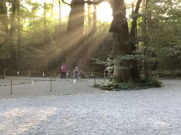 伊勢神宮内宮(皇大神宮)の自然