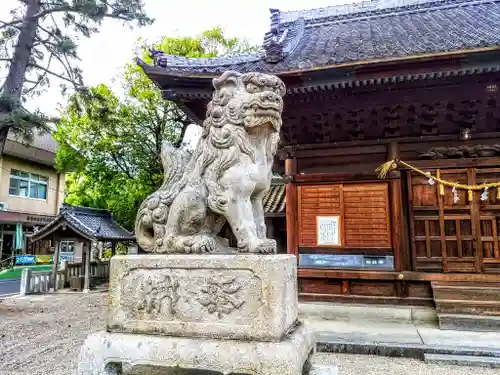 白山比売神社の狛犬
