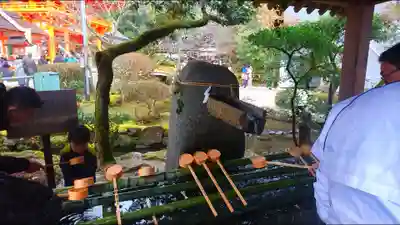 賀茂別雷神社(上賀茂神社)の手水舎