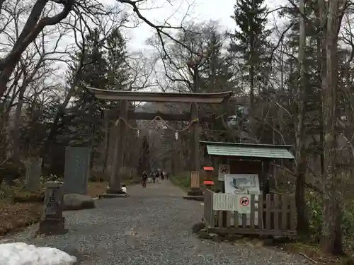 戸隠神社奥社の鳥居