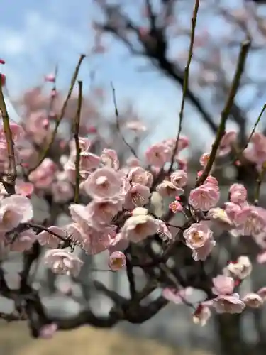 天神社(兵庫県)