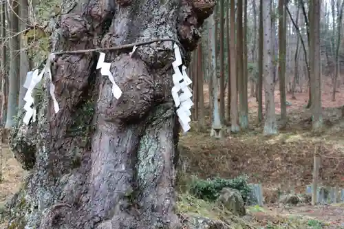 日枝神社の自然