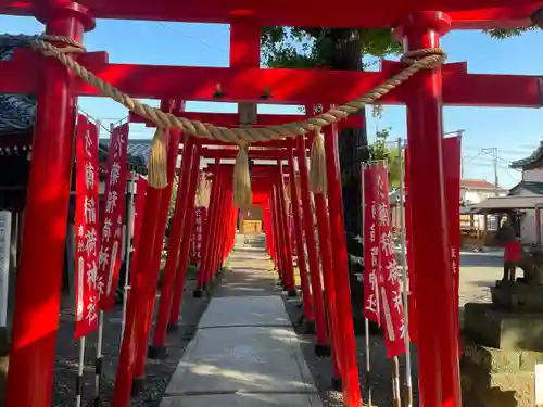 於菊稲荷神社の鳥居