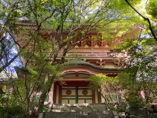 柞原八幡宮(大分県)
