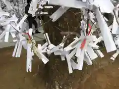 谷山神社のおみくじ