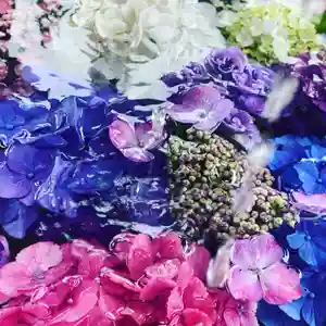 9月19日〜30日の期間で花手水を行います。今回は「初秋」をイメージしたものを考えています。
新型コロナウイルスの感染拡大傾向にありますので、お越しになる方はマスク着用をし感染予防対策をとってお越しください。
また、期間中は境内の芝生地を臨時駐車場とします。
お越しになる際は駐車場奥の芝生地に車を停めてください。
月極駐車場も併設しています。契約者さんがいらっしゃいますので月極駐車場には駐車されないようにお願いします。