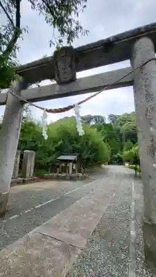 菅原神社の{uncategorized: "未分類", other: "その他", undefined: "問題あり", building: "その他建物", grave: "お墓", sacred_gate: "鳥居", guardian: "狛犬", statue: "像", buddha: "仏像", history: "歴史", nature: "自然", garden: "庭園", animal: "動物", pagoda: "塔", temizu: "手水舎", mountain_gate: "山門・神門", sanctuary: "本殿・本堂", subordinate: "末社・摂社", art: "芸術", scenery: "景色", jizo: "地蔵", ema: "絵馬", goshuin: "御朱印", omikuji: "おみくじ", items: "授与品その他", amulet: "お守り", goshuincho: "御朱印帳", eats: "食事", festival: "お祭り", votive_dance: "神楽", shichigosan: "七五三参", wedding: "結婚式", experience: "体験その他", initially: "初詣", around: "周辺", anti_infection: "感染症対策"}