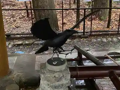 熊野本宮大社(和歌山県)