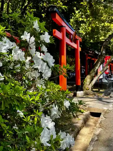 長山稲荷社（橿原神宮末社）(奈良県)